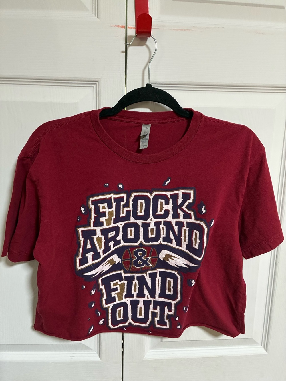 New Orleans Pelicans “Flock Around & Find Out” Custom Cropped Tee